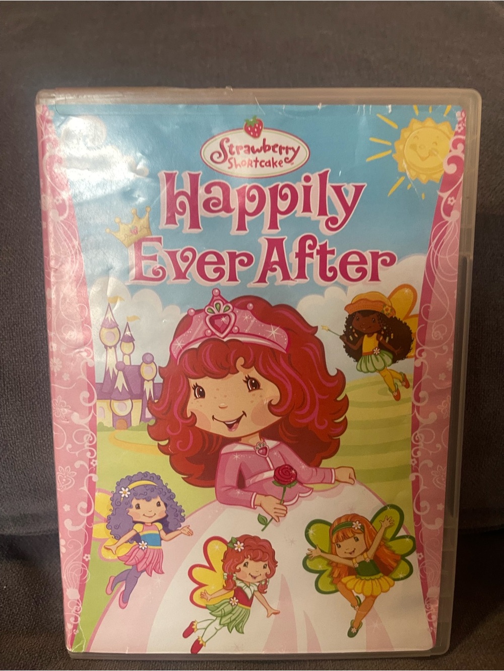 Strawberry Shortcake Happily Ever After - Pink Party Decoration